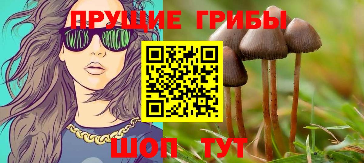 Галлюциногенные грибы прущие грибы  Галлюциногенные грибы MAGIC MUSHROOMS  Вход с VPN  Партизанск 